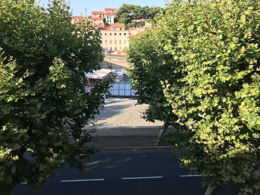 דירות פור-ונדרה Studio Bon Dia/Balcon/Proche Criques Et Collioure מראה חיצוני תמונה