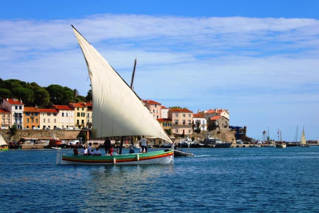 דירות פור-ונדרה Studio Bon Dia/Balcon/Proche Criques Et Collioure מראה חיצוני תמונה